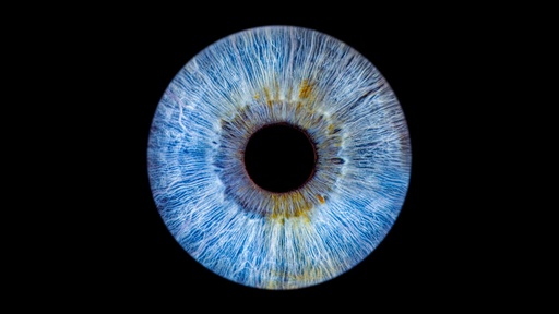 Iris Photography STUDIO - SINGLE - $65