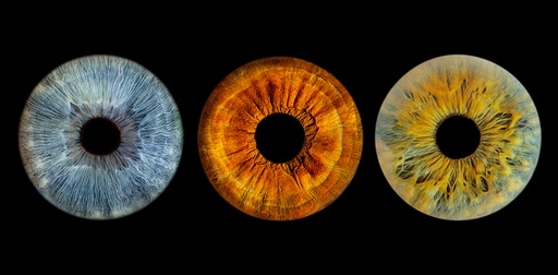 Iris Photography STUDIO BASIC - TRIO - $150