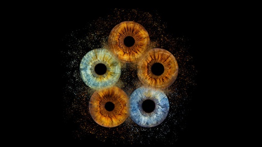 Iris Photography STUDIO BASIC - 5+ People