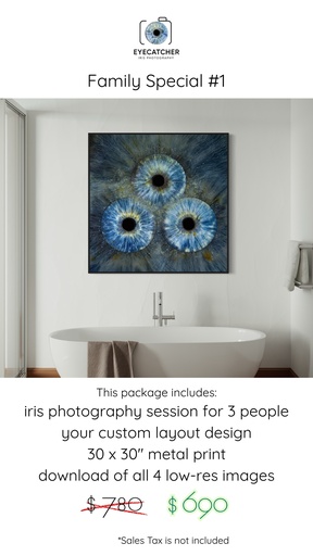 Family Special #1 - TRIO & 30x30" Metal Print - $ 690