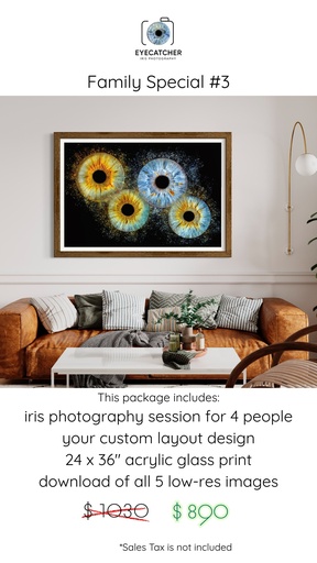 Family Special #3 - QUAD & 24x36" Acrylic - $ 890