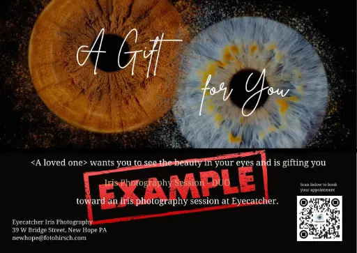 Gift Card - Iris Photography STUDIO - Horses